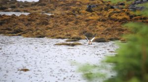 North Uist Coastline